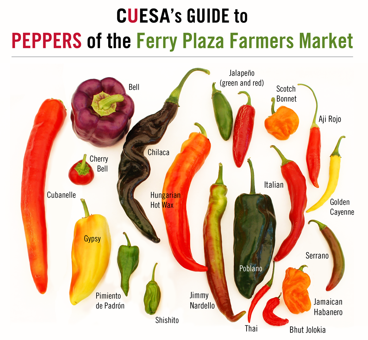 CUESA Guide to Peppers of the Ferry Plaza Farmers Market