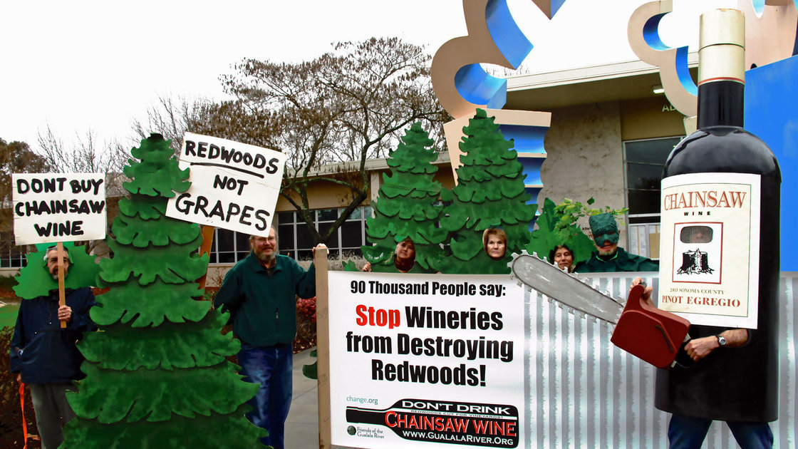 Environmental groups are fighting to stop the leveling of 154 acres of coastal redwoods and Douglas firs to make way for grapevines. Photo: Courtesy Friends of the Gualala River