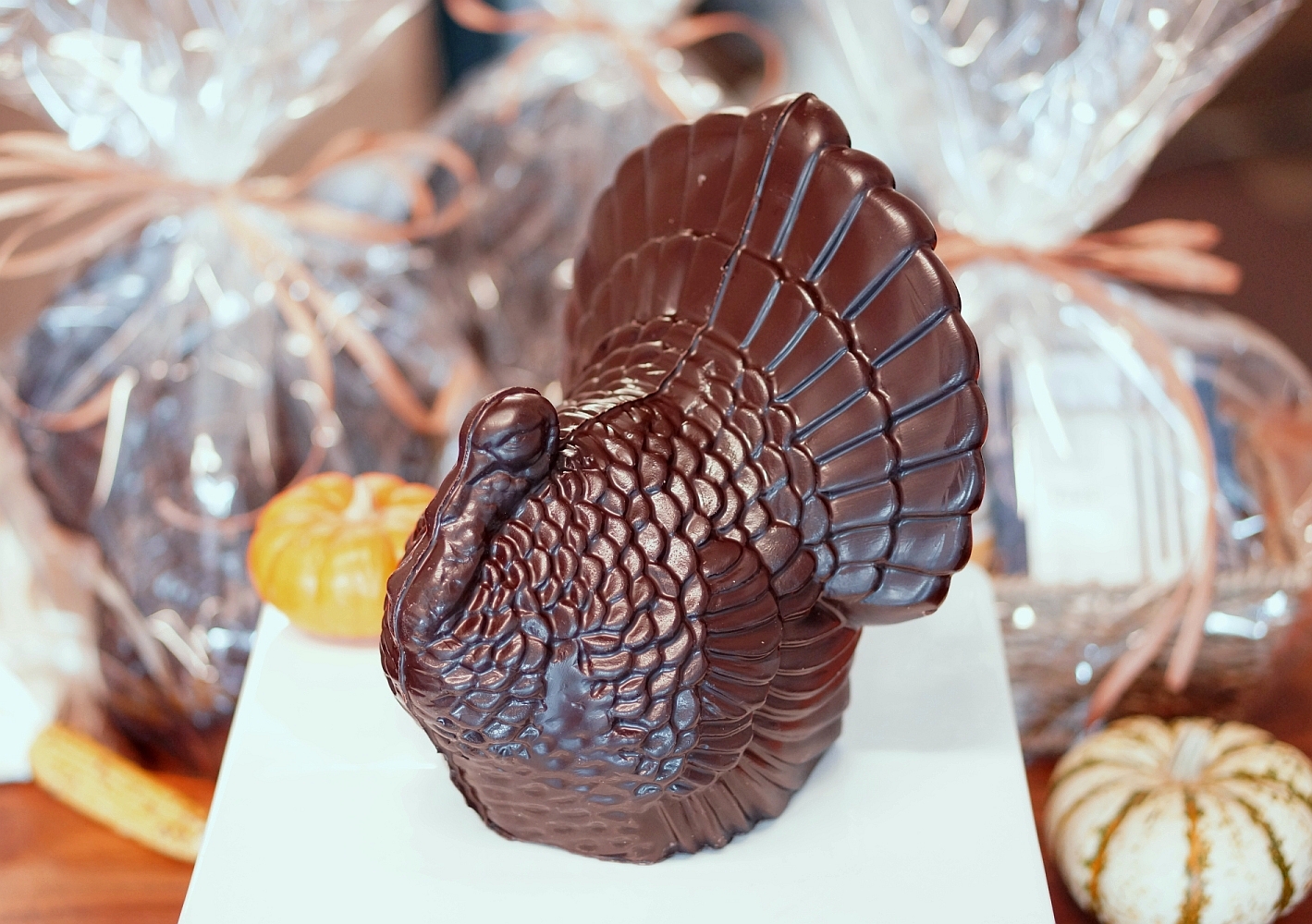 Poco Dolce Chocolate Turkey for the Thanksgiving. Photo: Albert Moriguchi 