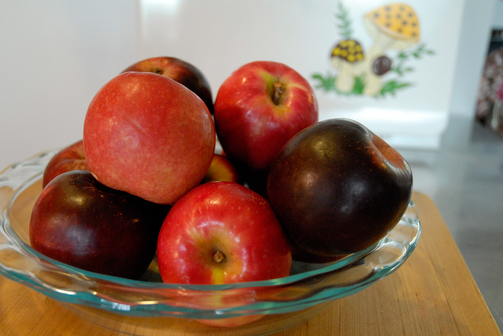 Apples: Black Twig and Pink Ladies. Photo: Wendy Goodfriend
