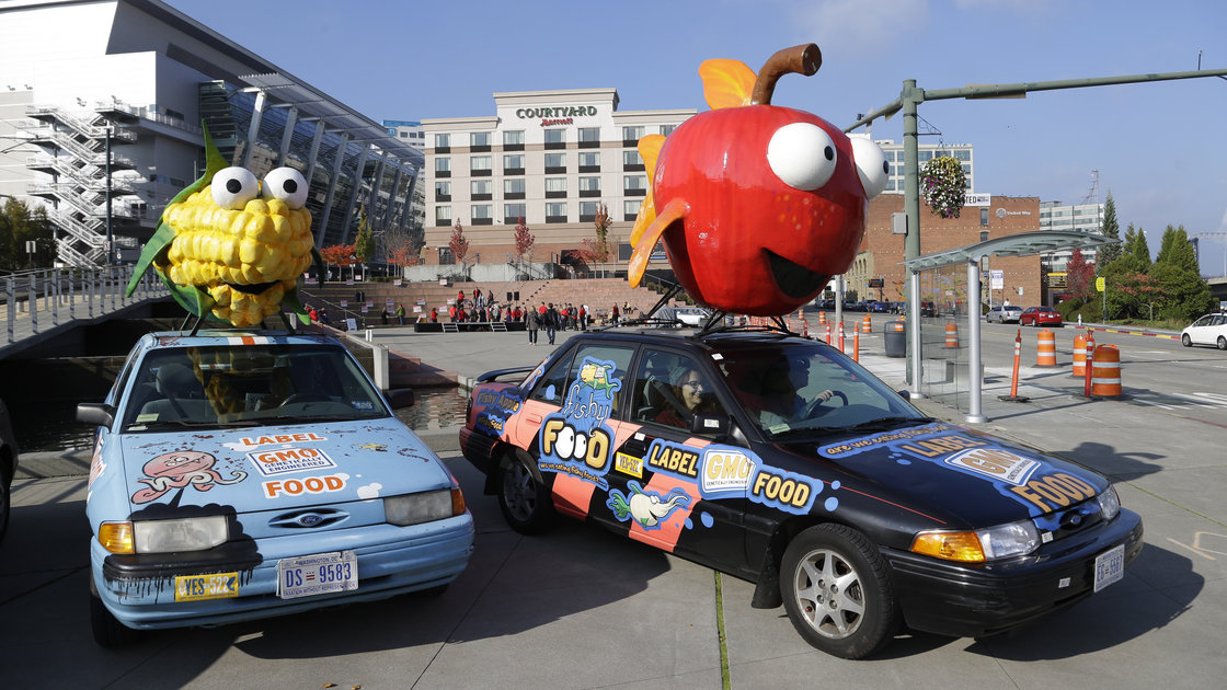 Cars in Tacoma, Wash., promoting a "YES" vote on I-522 in Washington state in October 2013. The initiative, which appears to have failed, would have required genetically engineered foods to be labeled. Photo: Ted S. Warren/ASSOCIATED PRESS