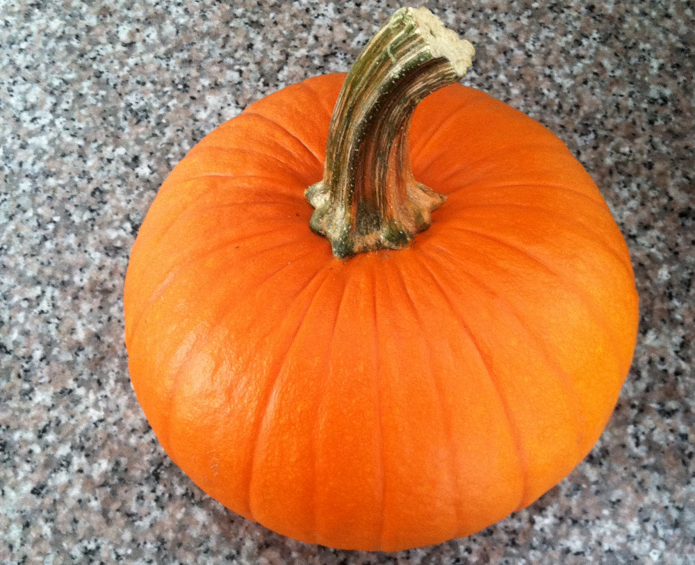 Choose sugar pumpkins over larger carving pumpkins for the best flavor. Photo: Kate Williams