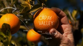 Capay Valley