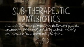 Sub-therapeutic antibiotics