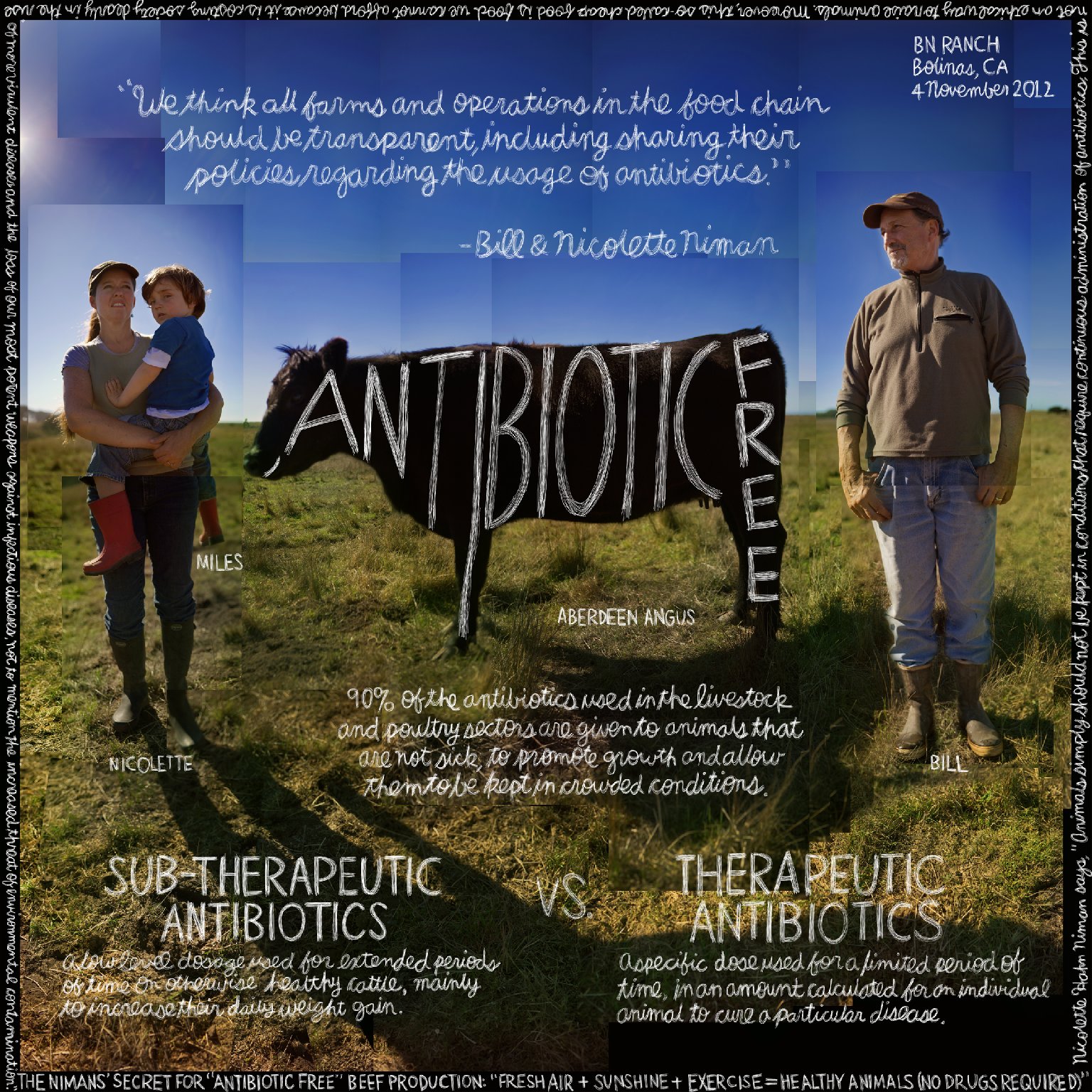 Antibiotic-Free artwork