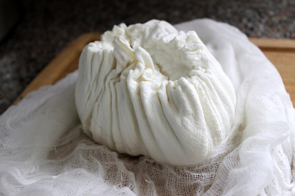 Once the cheese has firmed up, it should hold its shape in a ball. Photo: Kate Williams