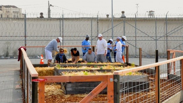Prisoners build an organic vegetable garden in the prison yard of the medium security unit at San Quentin State Prison in December. Kirk Crippens/Insight Garden Program