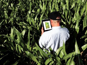 Companies, like John Deere, that are collecting farmers' data may be able to see how much grain is being harvested, minute by minute, from tens of thousands of fields. Photo: Steve Dolan/Visual Services-East Moline