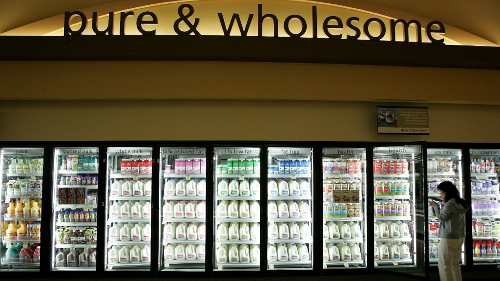 A customer shops for milk at a Safeway in Livermore, Calif. Although it may seem counterintuitive, there's growing evidence that full-fat dairy is linked to reduced body weight. Photo: Justin Sullivan/Getty Images