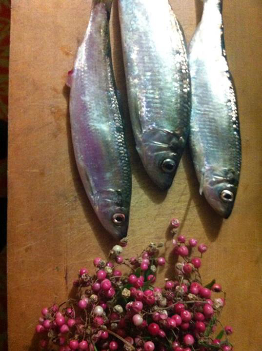 Fresh herring with pink peppercorns. Photo by Maria Finn