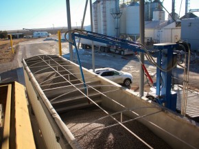 A robotic arm at Clarkson Grain takes a sample of blue corn to be tested for GMOs. Photo: Dan Charles/NPR