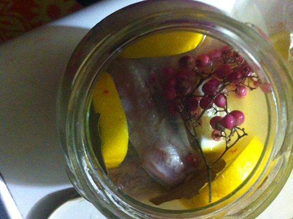Pickled herring with pink peppercorns and lemon. Photo by Maria Finn