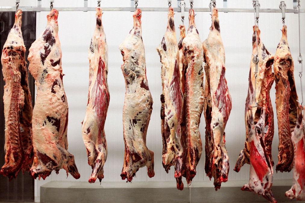 Meat hanging in the shop at Belcampo. Photo: Courtesy of Belcampo