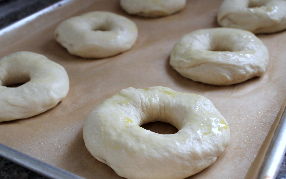 Homemade bagels are easy to make and totally worth the time to do right. Photo: Kate Williams