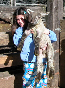 Child holding up a Devil's Gulch Ranch lamb. Photo courtesy of Devil’s Gulch Ranch