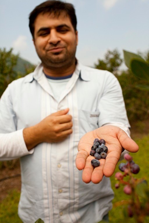 Saran shows off berries at his farm. Photo: Ben Fink