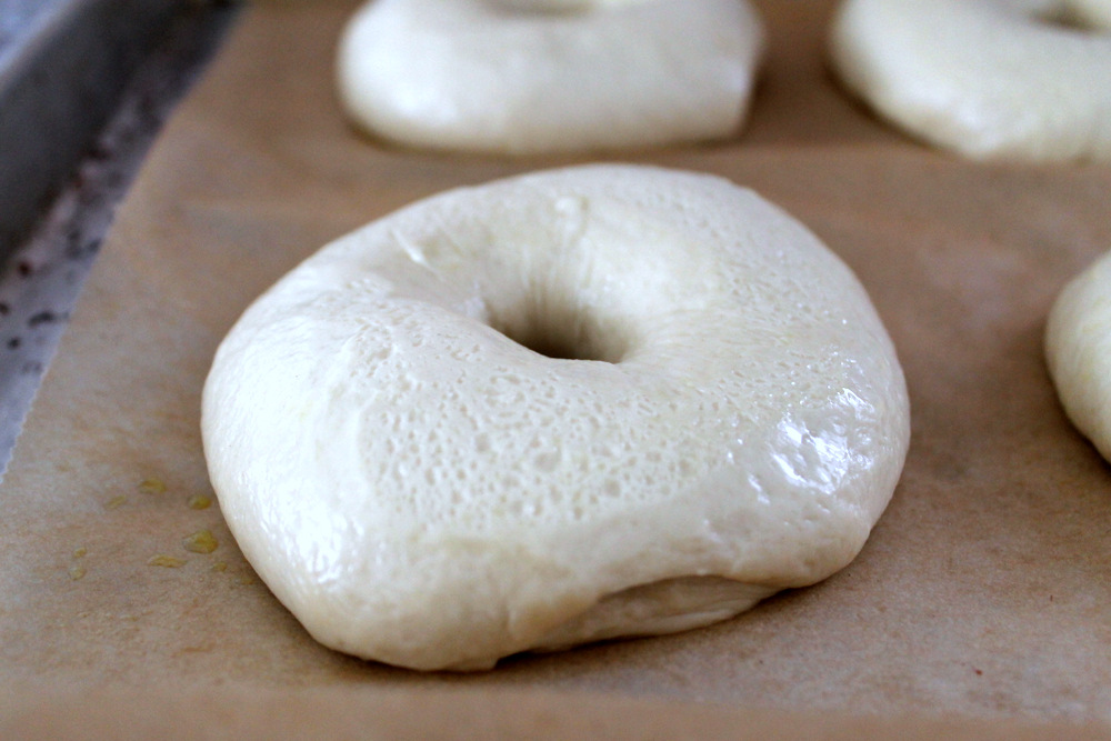 The next day, the proofed bagels will have risen slightly. Photo: Kate Williams