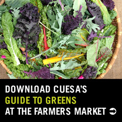 Download CUESA's guide to Greens at the Farmers' Market