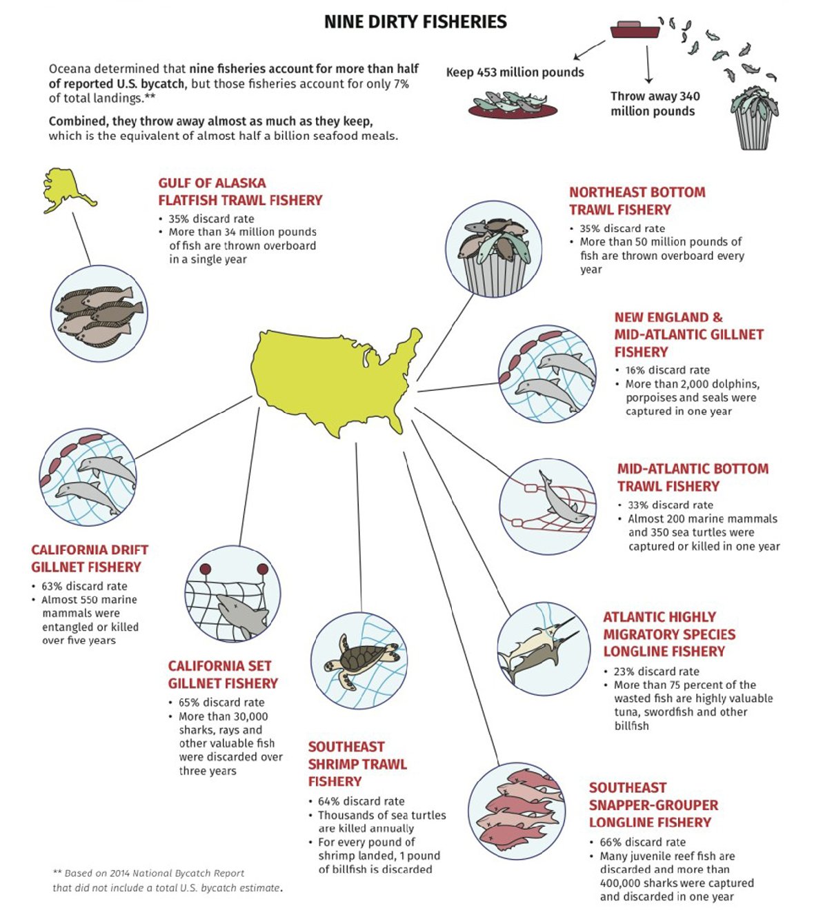 Nine fisheries account for more than half of the reported U.S. bycatch. Courtesy of Oceana