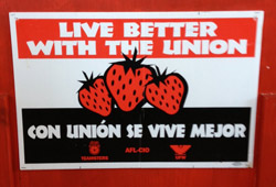 A Swanton Berry union sign. Photo: CUESA