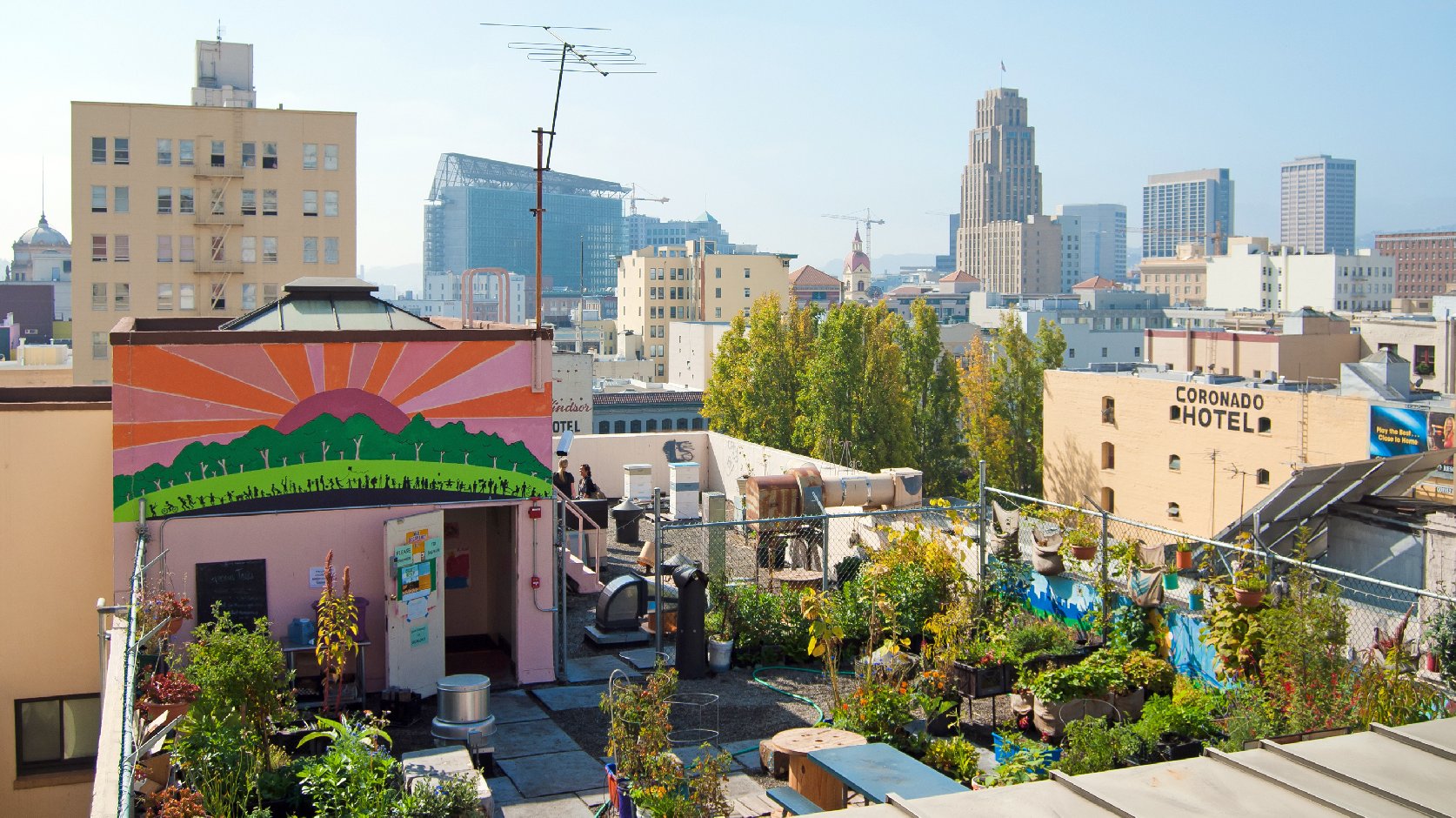Graze the Roof is a community-produced garden that grows vegetables on the rooftop of a church in San Francisco. Photo: Sergio Ruiz. Flickr