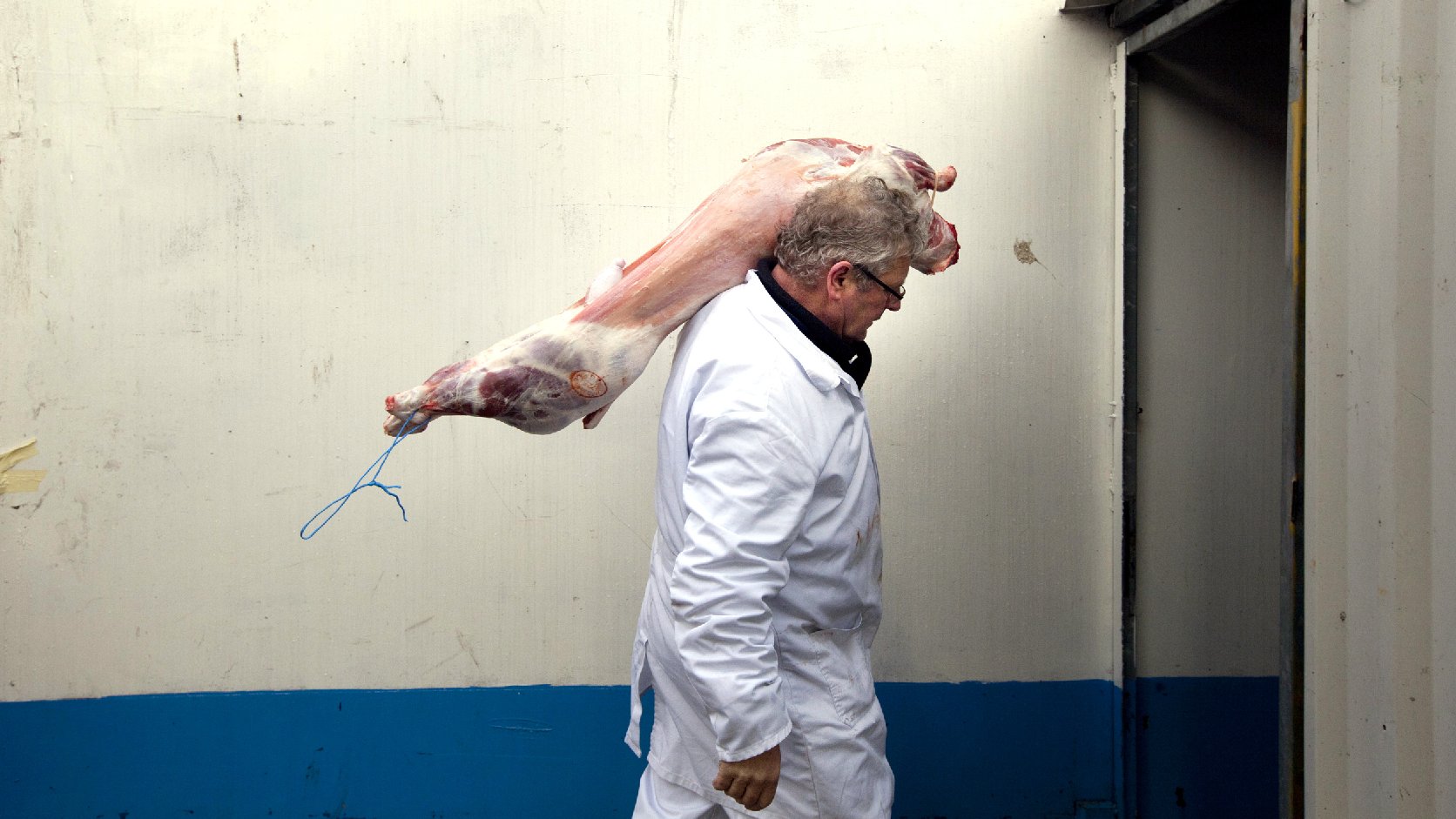 Ritually slaughtered lamb is delivered at a halal butcher shop in The Hague, Netherlands, in 2011. Denmark, Sweden and Norway are among the countries requiring animals to be stunned before slaughter. Dutch lawmakers took up the issue in 2012. Photo: Peter Dejong/AP
