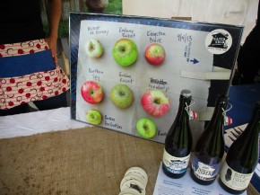 Tilted Shed's display of heirloom apple varieties at the April Cider Summit in Berkeley, Calif. Photo: Alastair Bland for NPR