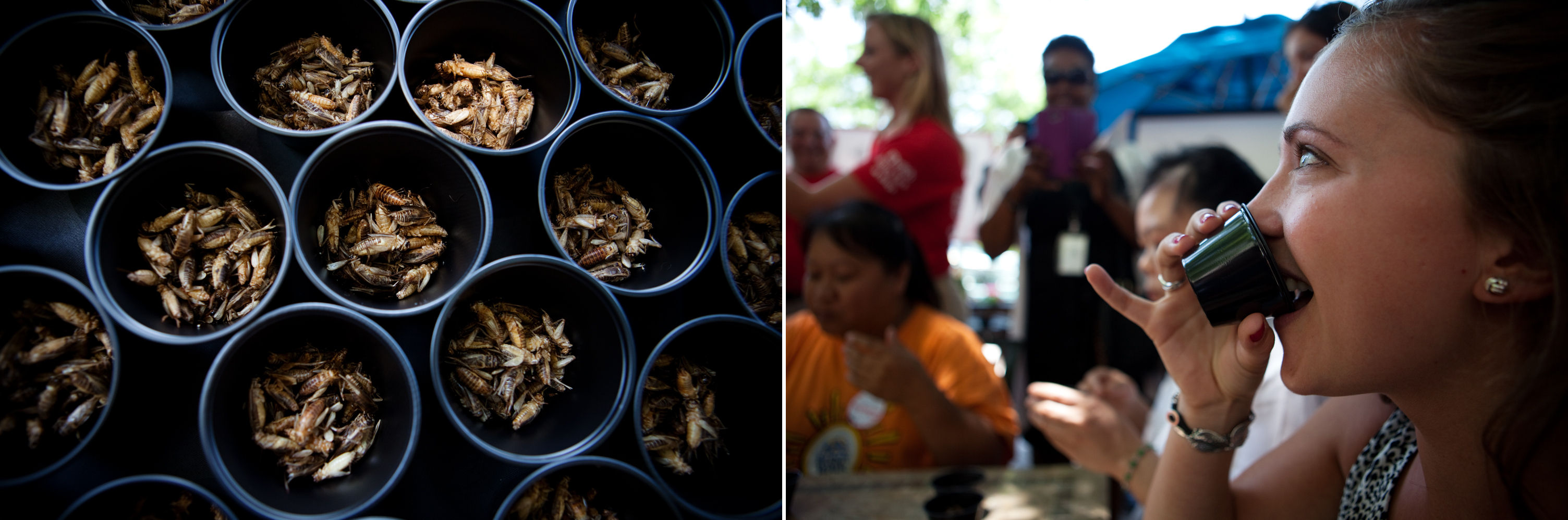 Katherine Eklund, with D.C Central Kitchen, competes in a cricket eating competition. Photo: Maggie Starbard/NPR