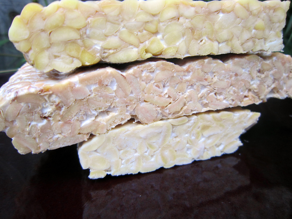 From top to bottom, Alive & Healing, rhizocali and LightLife tempeh show their innards. Photo: Alix Wall