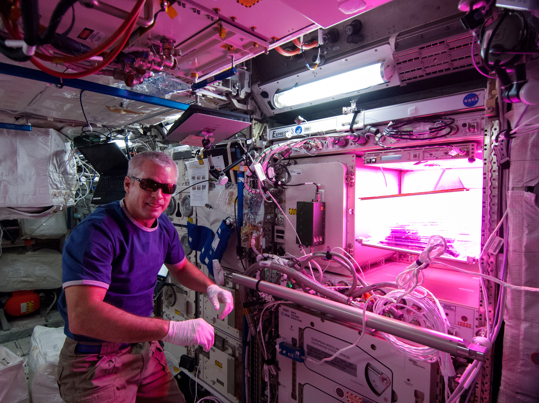 Astronaut Steve "Swanny" Swanson tends to lettuce plants growing at the International Space Station that may one day make it into his salad. Photo: Courtesy of NASA