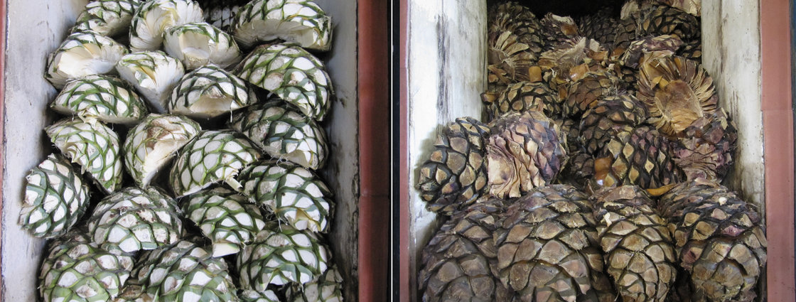 Piñas are piled into the ovens at La Alteña Distillery in the highlands of Jalisco, before (left) and after being roasted, and before their juice has been fermented and distilled into tequila. Photo: Kitchen Sisters for NPR