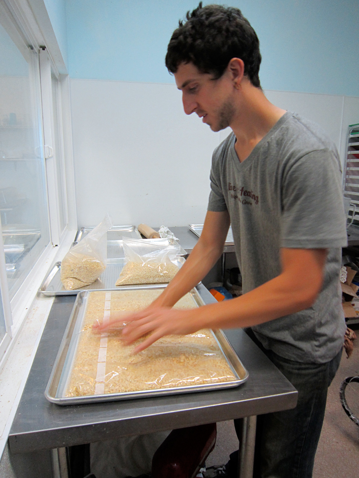 Stem Kent flattens out the cooled soybeans into perforated bags before the fermentation process begins. Photo: Alix Wall