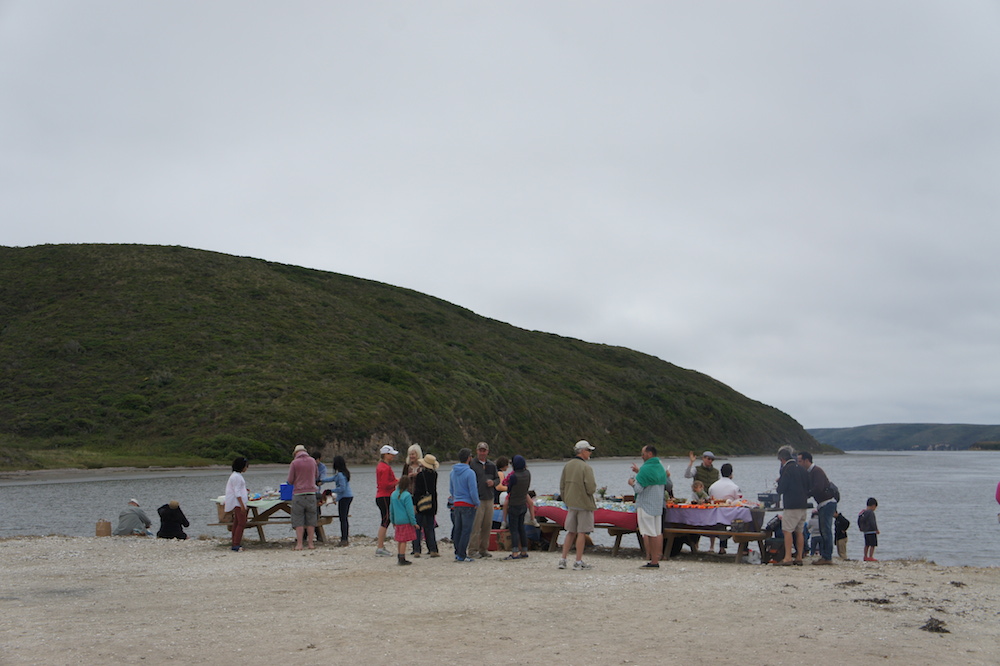 Families and friends gather by the water at Drakes Bay to enjoy oysters together. Photo: Angela Johnston