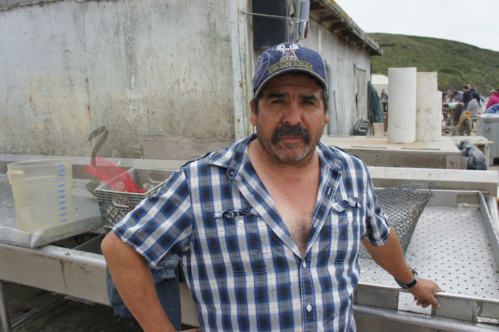Jorge Mata has been working at Drakes Bay since 1984. Photo: Angela Johnston