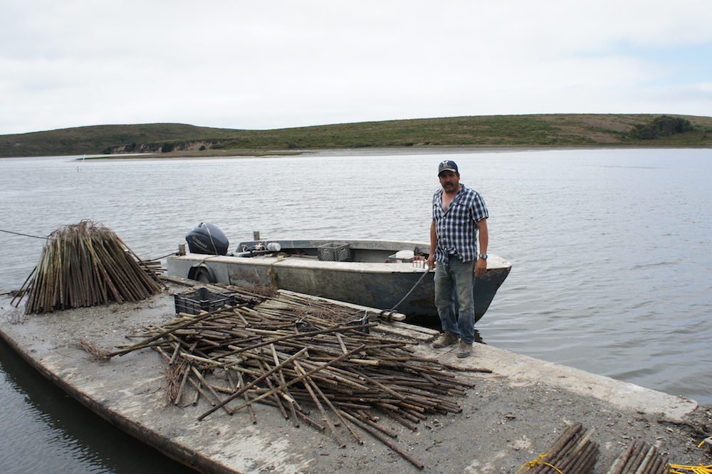 Jorge Mata stands next to one of the boats he uses to go check on the oysters out in the estero. He lives on the farm with the other workers, and his daughter was born and raised on the farm. Photo: Angela Johnston