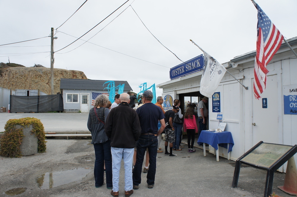 Visitors line up to buy bags oysters at the shack. The shack, along with the cannery, is set to close on July 31. Photo: Angela Johnston