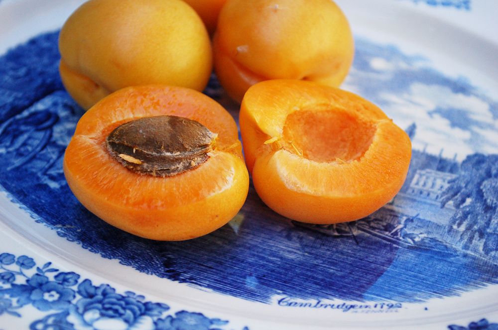 Originating in Central Asia, these CandyCots -- intensely sweet, small apricots -- from Andy's Orchard taste like honeyed marmalade. Photo: Susan Hathaway