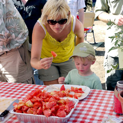 Capay Organic tomato tasting. Photo: Bill Goidell