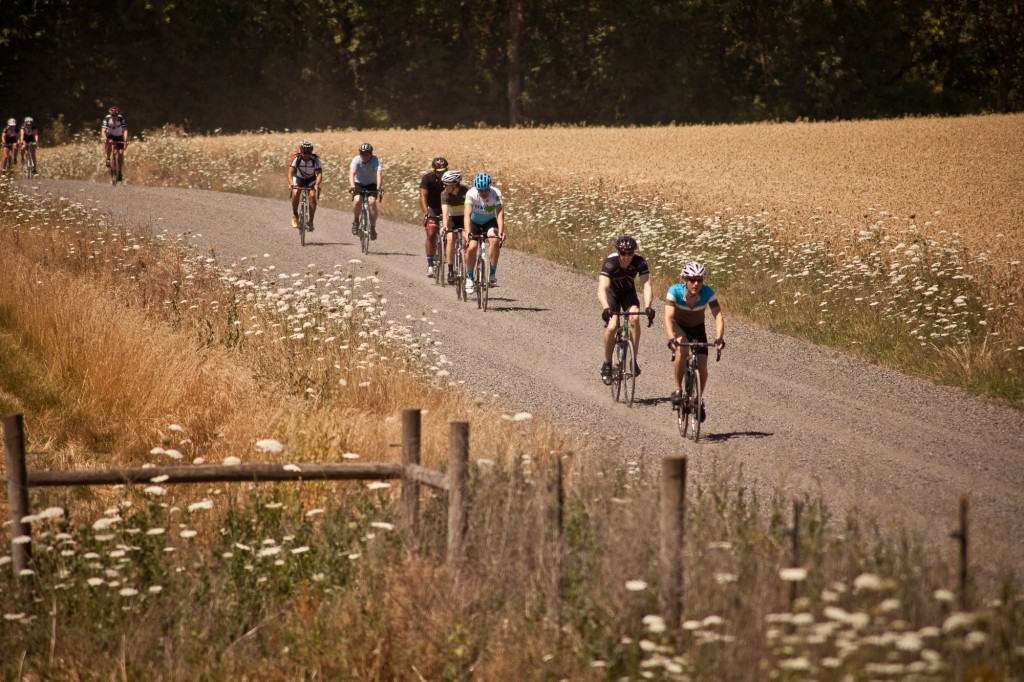 Cyclists on the Road at the 2014 Chris King Portland Gourmet Century