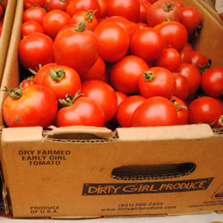 Early Girl tomatoes from Dirty Girl Produce. Photo: CUESA