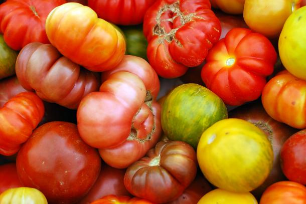 Heirloom tomatoes. Photo: CUESA