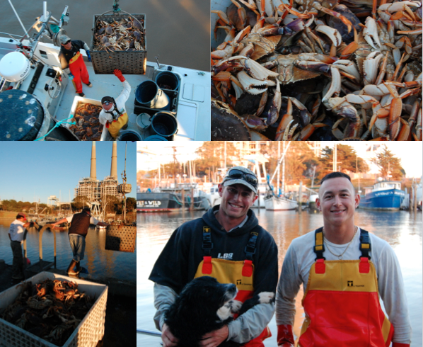 Fishermen Calder Deyerle and Justin Riddleberger provide caught Dungeness crab to Local Catch Monterey Bay, a community supported fishery in Monterey, California. Photo: Oren Frey