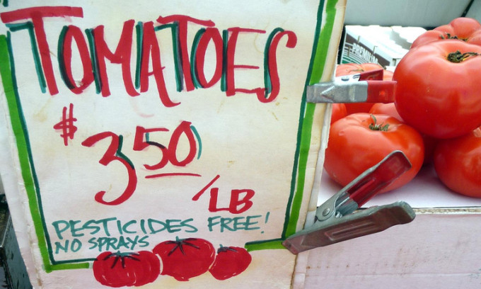 Tomatoes Pesticides Free. Photo by Pranav Bhatt