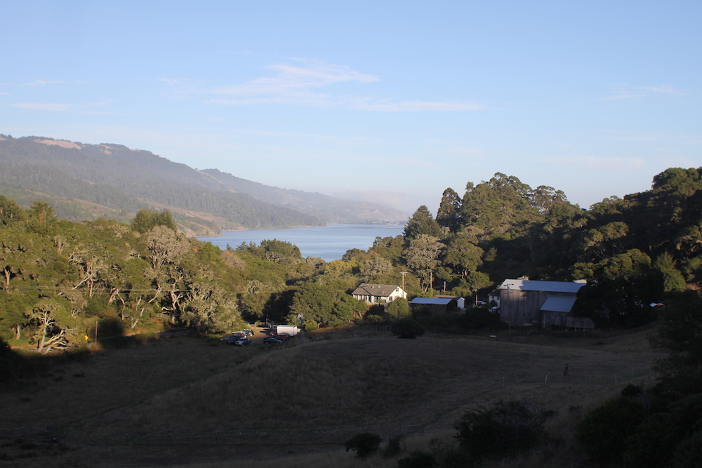 The view of Bolinas Lagoon from the top of the Mann Family Farm. Photo: Angela Johnston