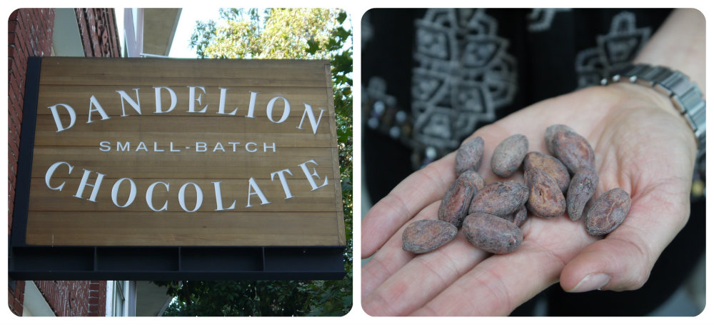Dandelion cafe and cocoa beans. photo: Lila Volkas