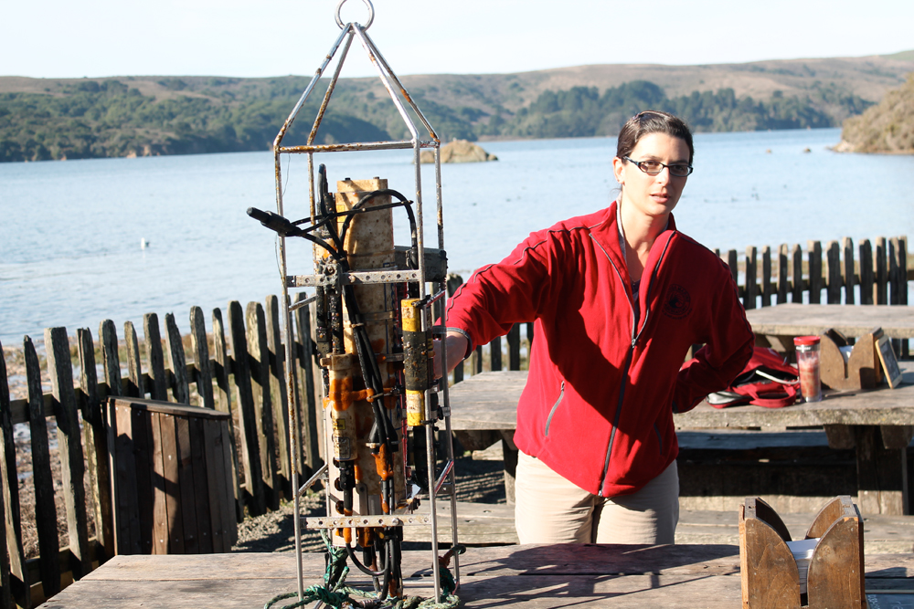 Dr. Tessa Hill from UC Davis Bodega Bay Marine Lab examining ocean acidification. Photo courtesy of Hog Island Oyster Co.
