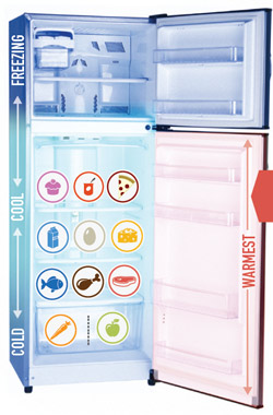 NRDC refrigerator infographic