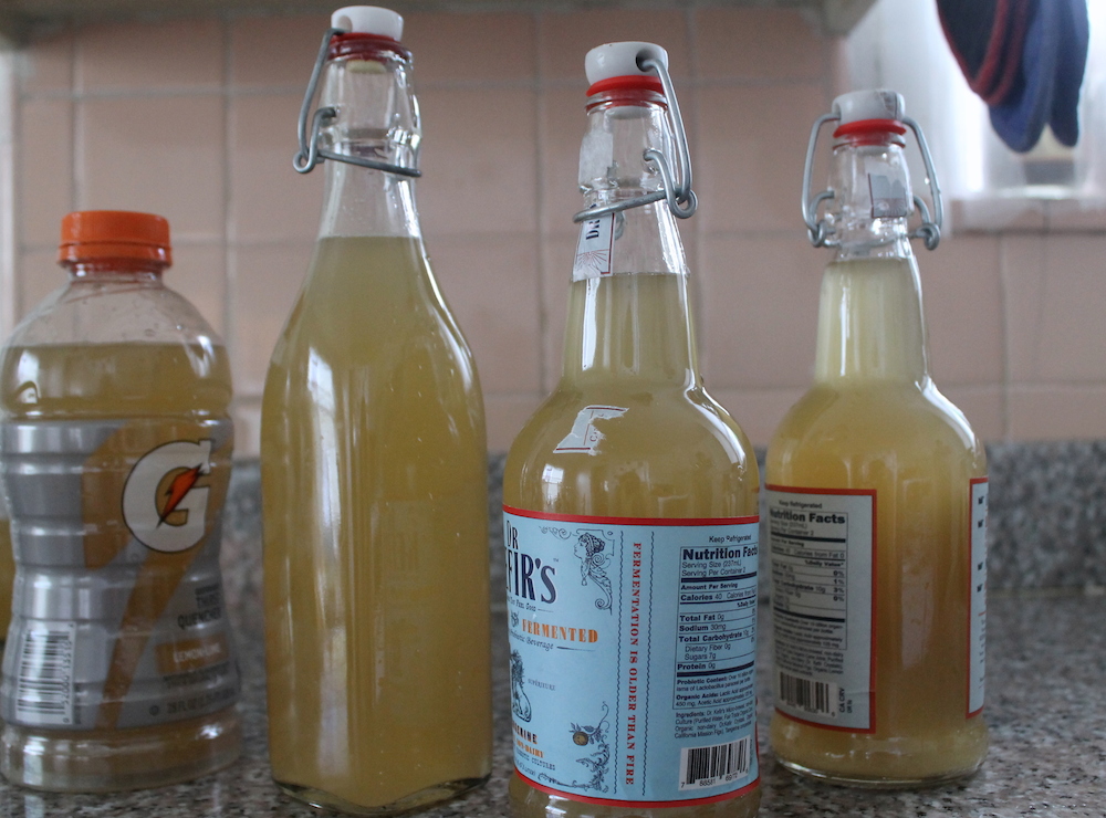 I like to use a mix of recycled bail-top bottles and plastic soda bottles to bottle my ginger beer. You can also purchase new bottles at brew shops. Photo: Kate Williams