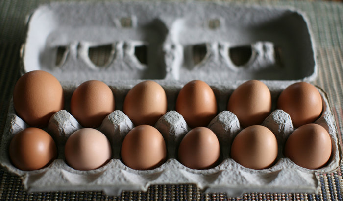 Free-range eggs from Pennypack Farm in Pennsylvania. Photo: Christopher Paquette/Flickr 