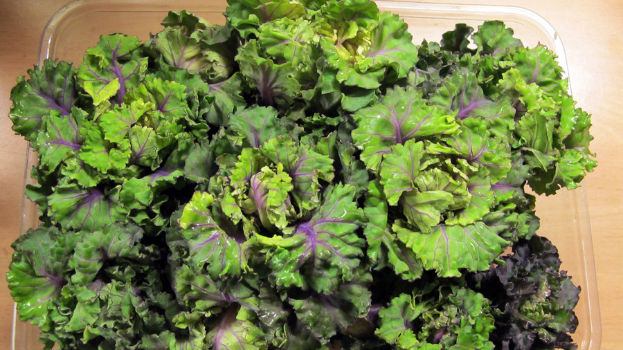 Kalettes, BrusselKale, Lollipop Kale and Flower Sprout: This little vegetable, a cross of kale and Brussels sprouts, goes by a lot of names. Photo: Rain Rabbit/Flickr
